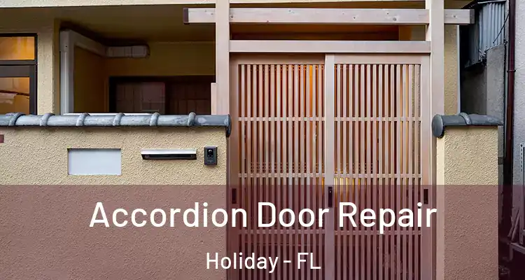  Accordion Door Repair Holiday - FL