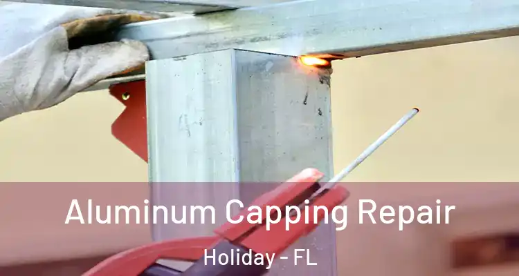  Aluminum Capping Repair Holiday - FL