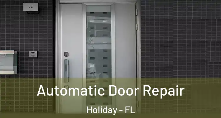  Automatic Door Repair Holiday - FL