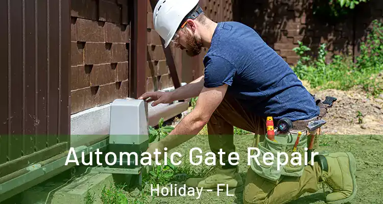  Automatic Gate Repair Holiday - FL
