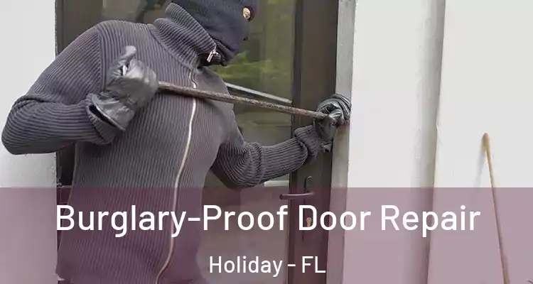  Burglary-Proof Door Repair Holiday - FL
