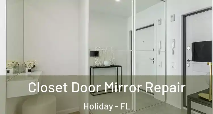  Closet Door Mirror Repair Holiday - FL