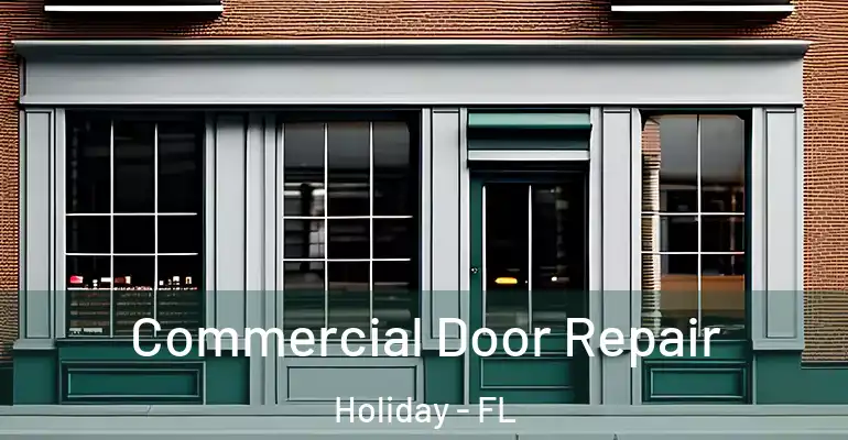  Commercial Door Repair Holiday - FL