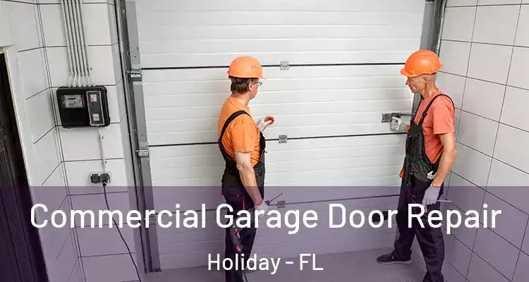  Commercial Garage Door Repair Holiday - FL