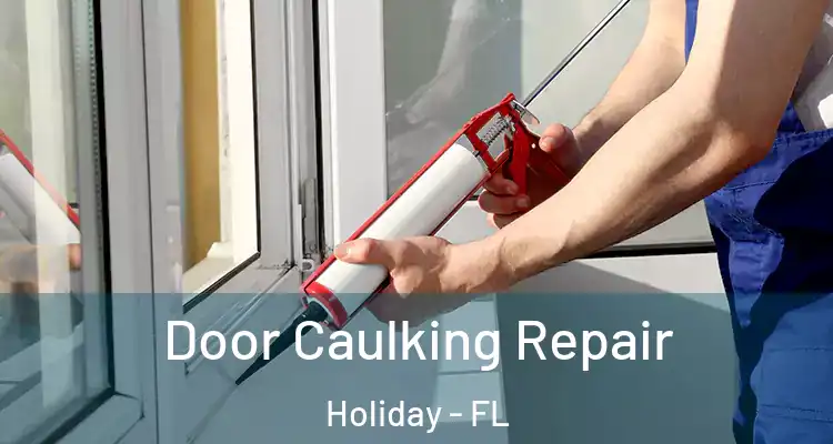  Door Caulking Repair Holiday - FL