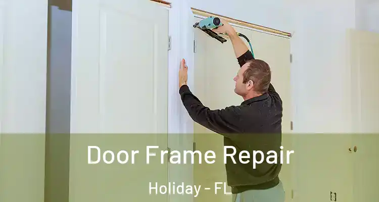  Door Frame Repair Holiday - FL