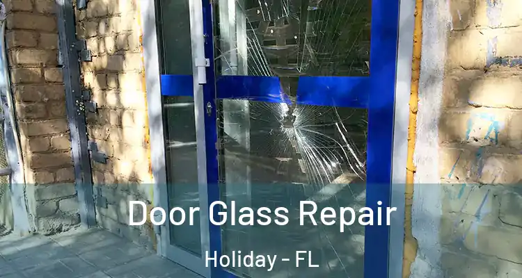  Door Glass Repair Holiday - FL