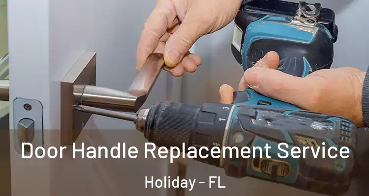  Door Handle Replacement Service Holiday - FL