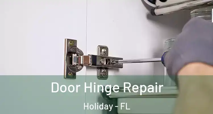  Door Hinge Repair Holiday - FL