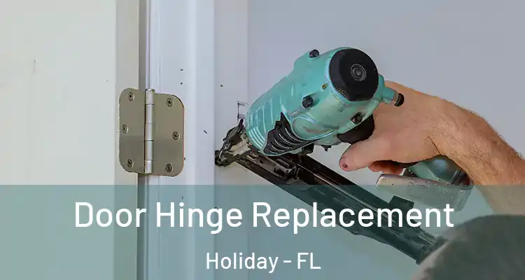  Door Hinge Replacement Holiday - FL