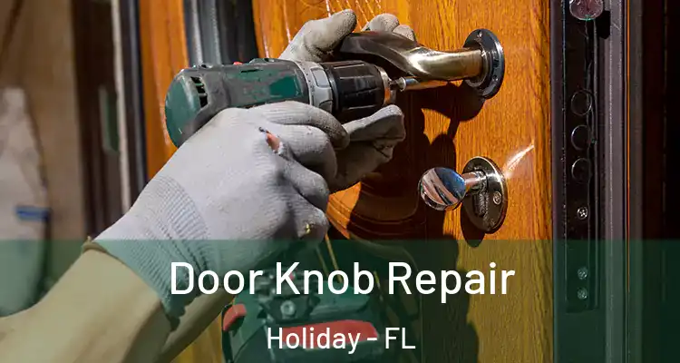  Door Knob Repair Holiday - FL