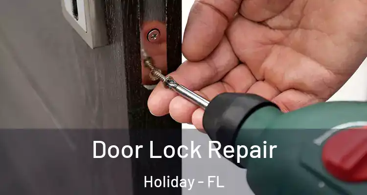 Door Lock Repair Holiday - FL