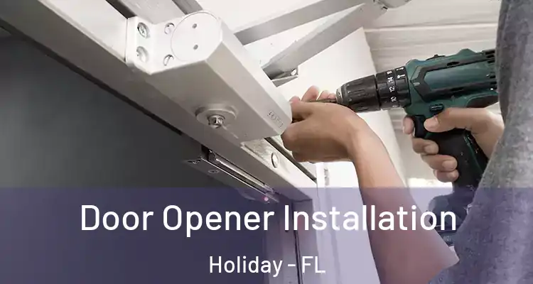  Door Opener Installation Holiday - FL