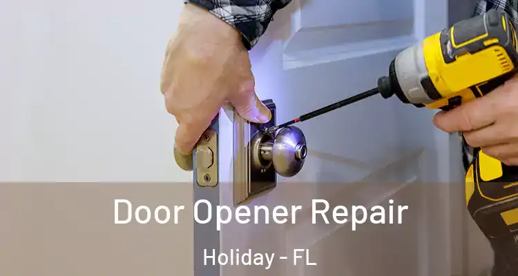  Door Opener Repair Holiday - FL
