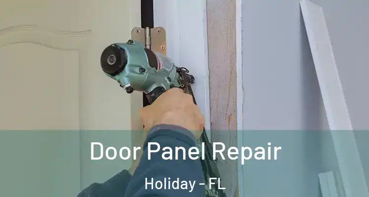  Door Panel Repair Holiday - FL
