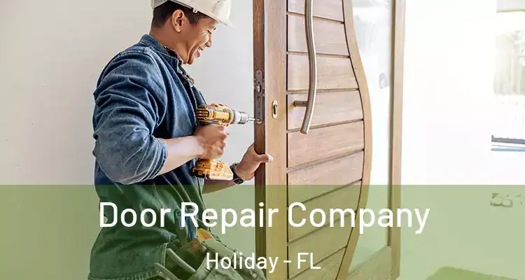  Door Repair Company Holiday - FL