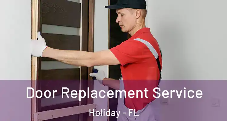  Door Replacement Service Holiday - FL