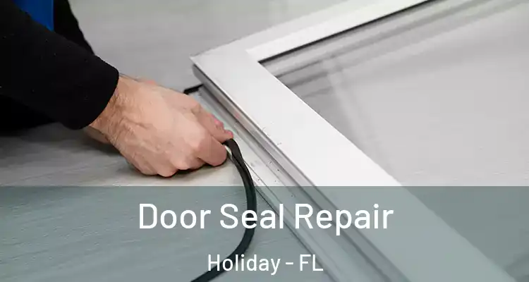  Door Seal Repair Holiday - FL