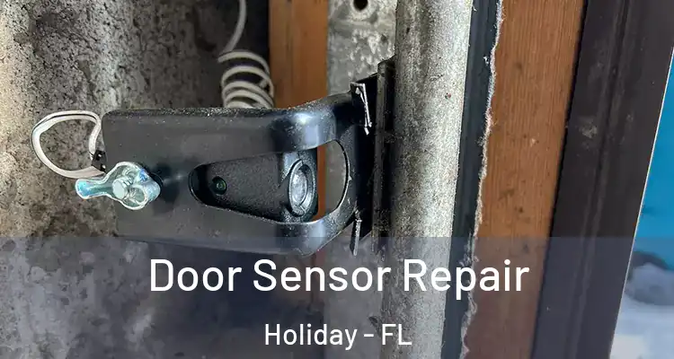  Door Sensor Repair Holiday - FL
