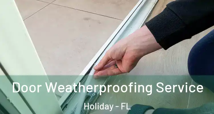  Door Weatherproofing Service Holiday - FL