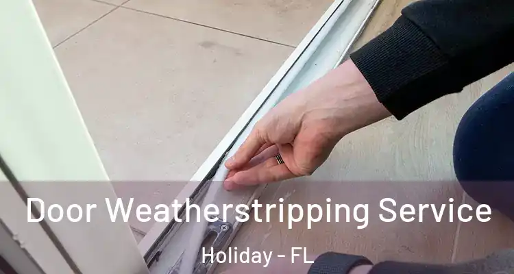  Door Weatherstripping Service Holiday - FL