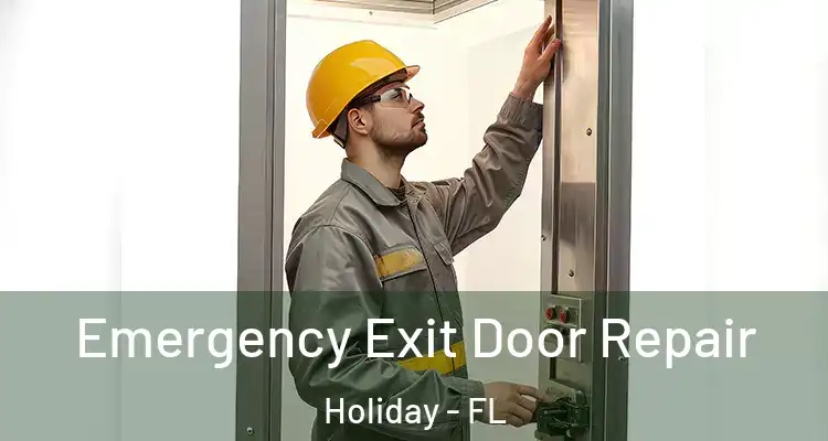  Emergency Exit Door Repair Holiday - FL