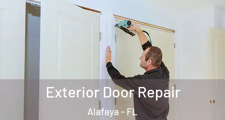 Exterior Door Repair Alafaya - FL
