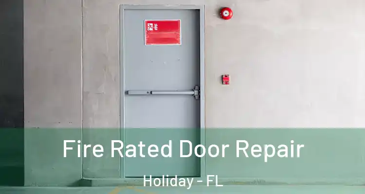  Fire Rated Door Repair Holiday - FL