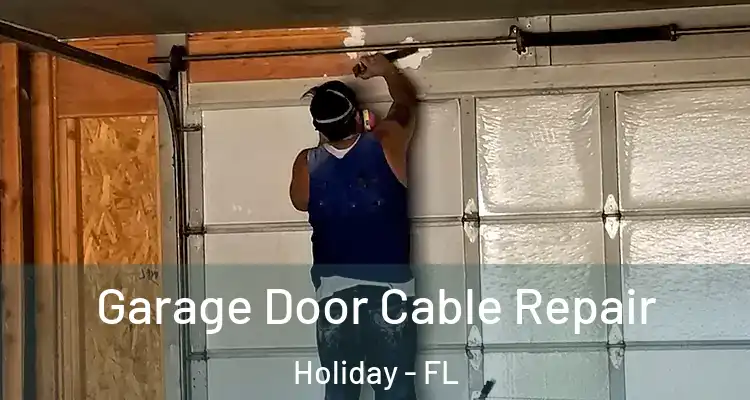 Garage Door Cable Repair Holiday - FL