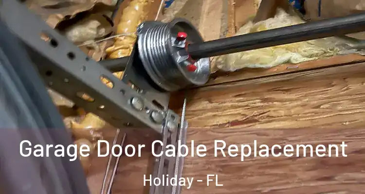  Garage Door Cable Replacement Holiday - FL
