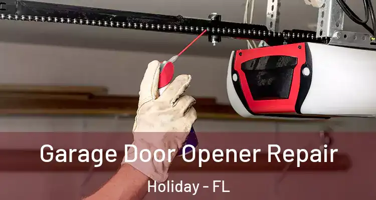  Garage Door Opener Repair Holiday - FL