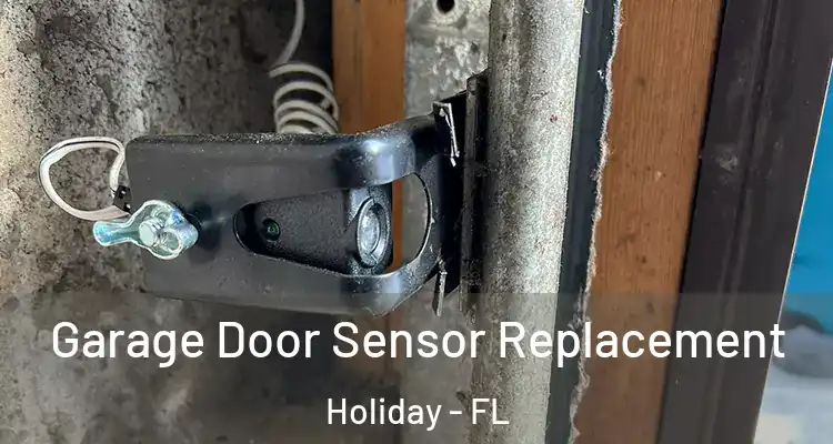  Garage Door Sensor Replacement Holiday - FL