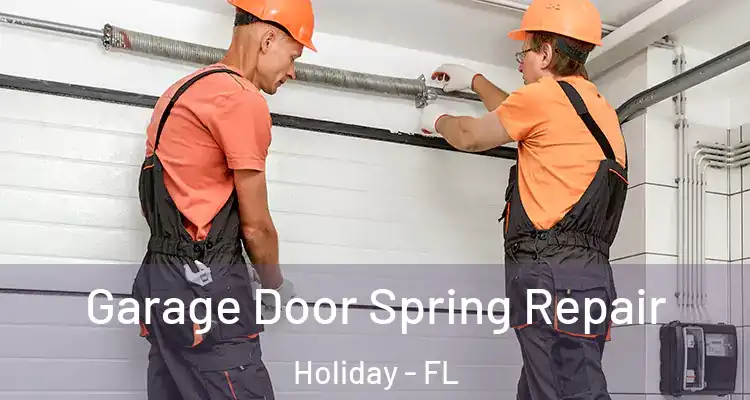  Garage Door Spring Repair Holiday - FL