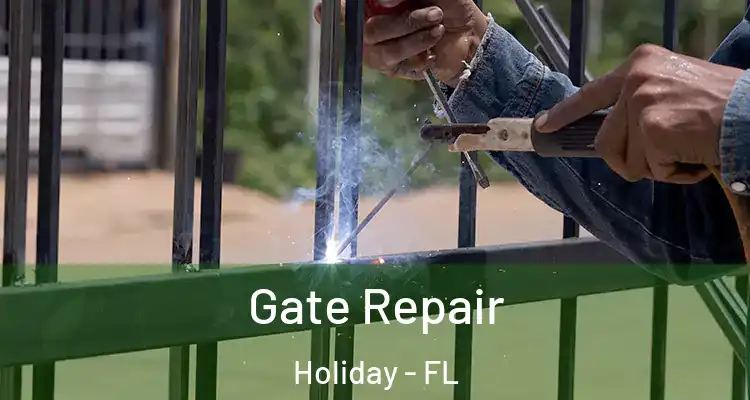  Gate Repair Holiday - FL