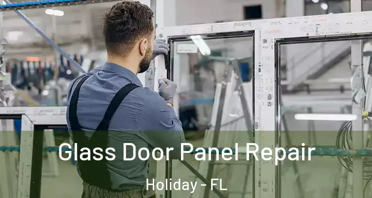  Glass Door Panel Repair Holiday - FL