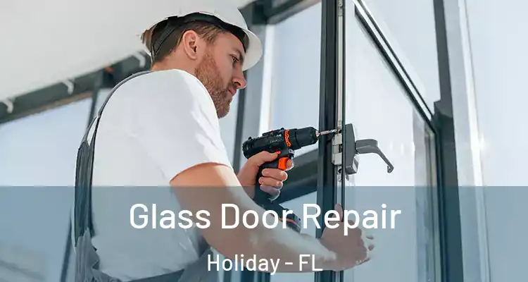  Glass Door Repair Holiday - FL