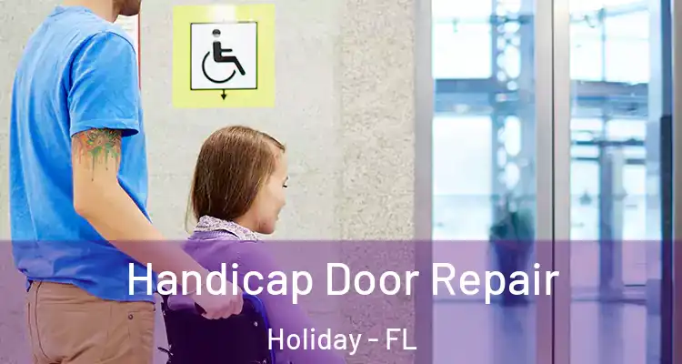  Handicap Door Repair Holiday - FL
