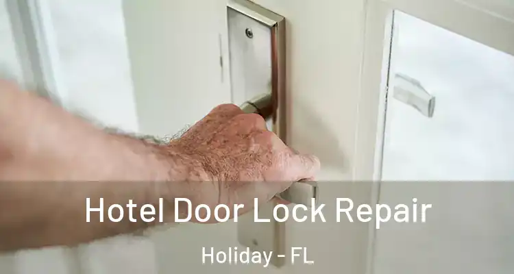  Hotel Door Lock Repair Holiday - FL