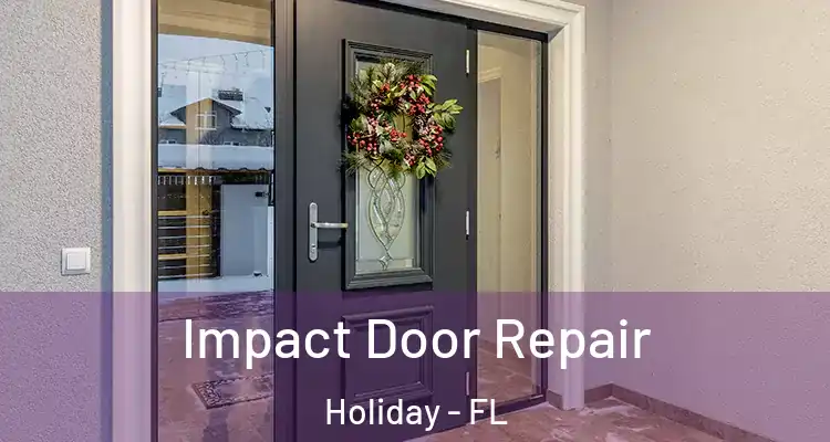  Impact Door Repair Holiday - FL