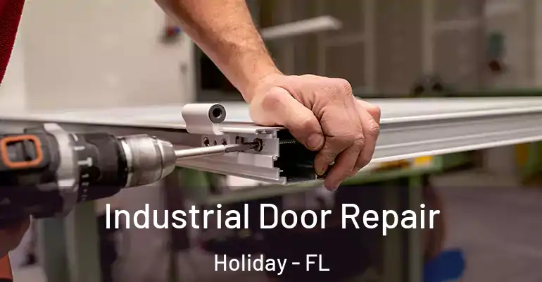  Industrial Door Repair Holiday - FL