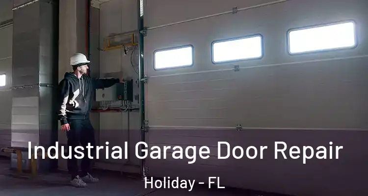  Industrial Garage Door Repair Holiday - FL