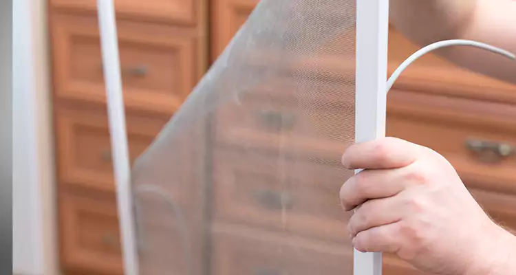 Privacy Mesh Screen Door Installation in Alafaya, FL