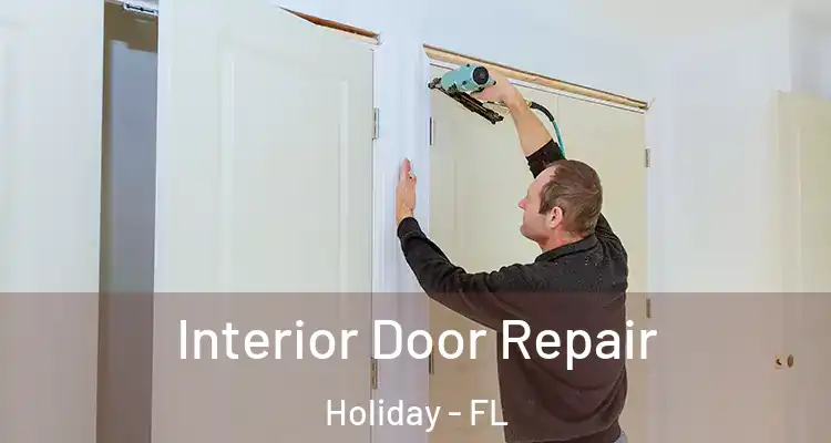  Interior Door Repair Holiday - FL