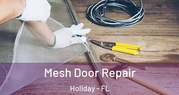  Mesh Door Repair Holiday - FL