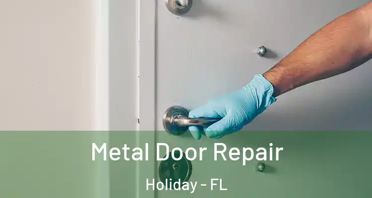  Metal Door Repair Holiday - FL