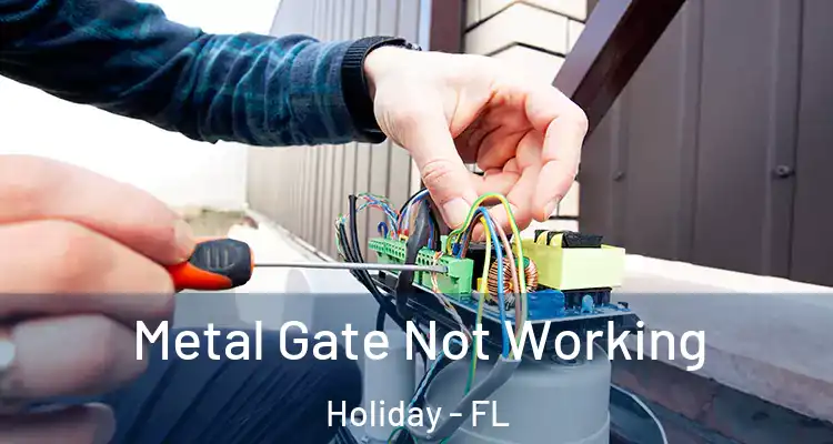  Metal Gate Not Working Holiday - FL