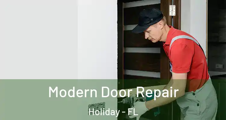  Modern Door Repair Holiday - FL