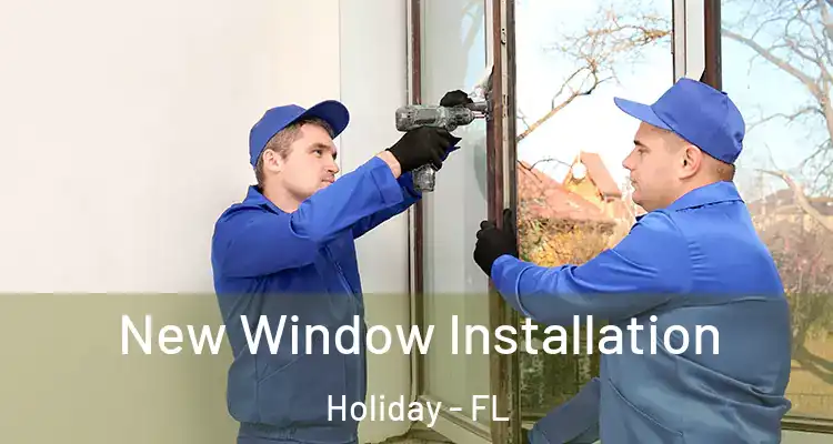  New Window Installation Holiday - FL