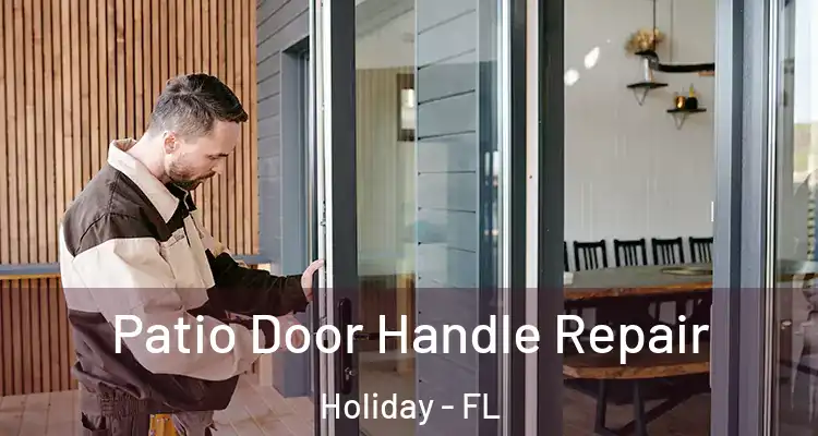  Patio Door Handle Repair Holiday - FL