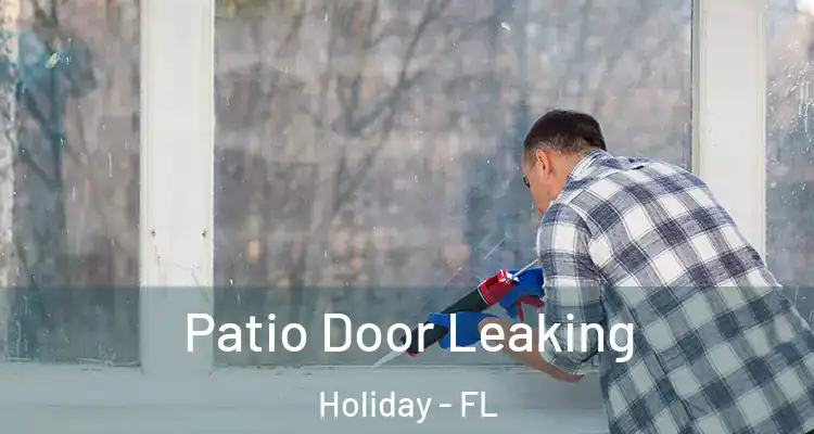  Patio Door Leaking Holiday - FL
